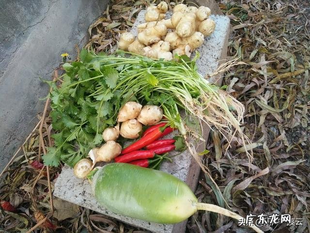 甘油三酯高,吃什么食物会比较好些?