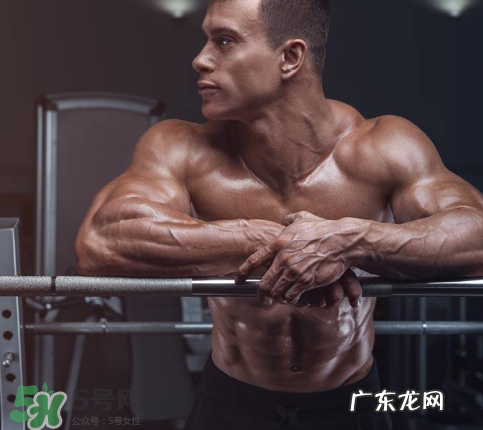 肌酸吃多久需要停用?肌酸吃多了会怎么样?