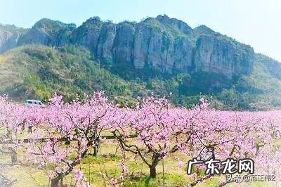 你们会通过什么方式来减压？