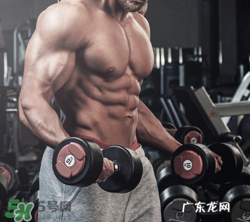 肌酸能空腹喝吗?肌酸可以天天吃吗?