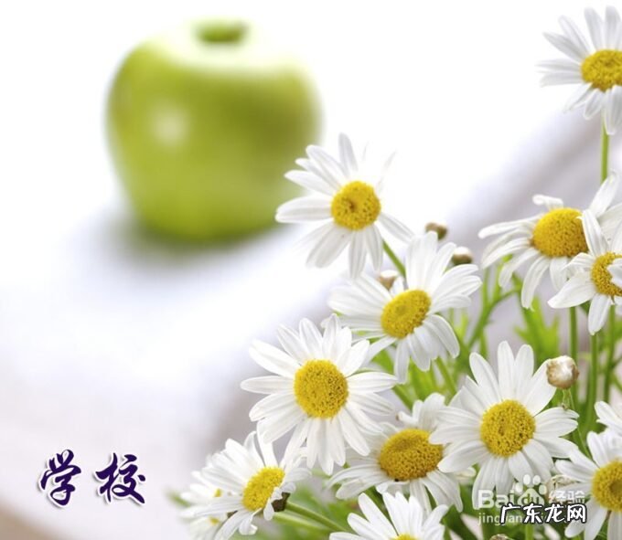 如何写好软文推广 软文推广怎么做