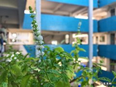 熬夜之后如何补救 熬夜第二天怎么补救