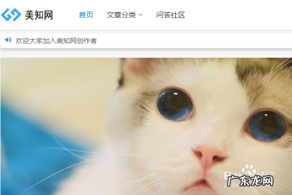 软文的推广有哪些,各个类别具体内容是什么? 软文推广发布平台一般有哪些比较好