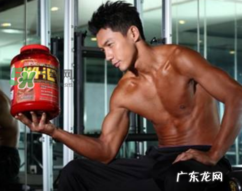 蛋白粉和增肌粉有什么区别?蛋白粉和增肌粉能一起吃吗?