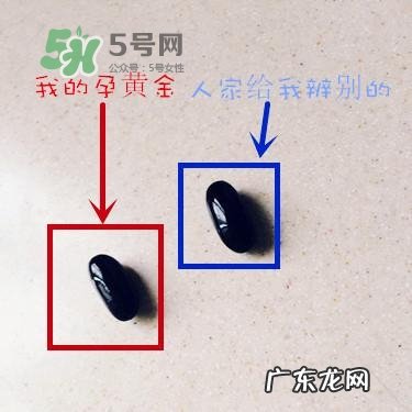 blackmores澳佳宝真假辨别_blackmores澳佳宝真伪查询