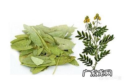 泻叶粉的副作用 番泻叶提取物有什么副作用吗?