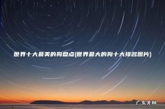 世界最大的狗十大排名图片 世界十大最美的狗盘点