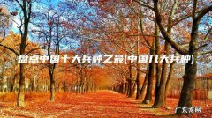 中国几大兵种 盘点中国十大兵种之最