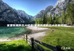 家里有鬼的五大征兆视频 家里有鬼的五大征兆