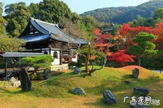 日本老人真的都很长寿吗?