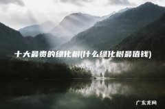 什么绿化树最值钱 十大最贵的绿化树