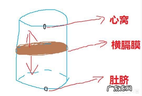 想学一门乐器有没有什么推荐?