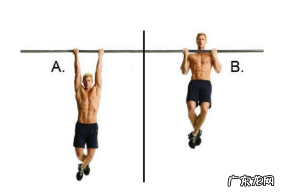 引体向上可以天天练吗 做引体向上的最佳时间