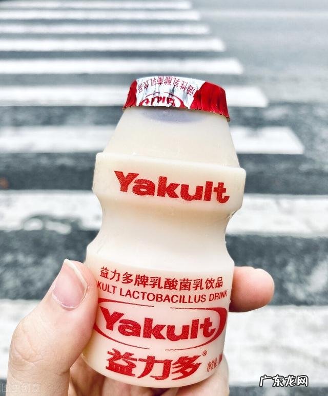 种在花盆里的火龙果能结果吗?