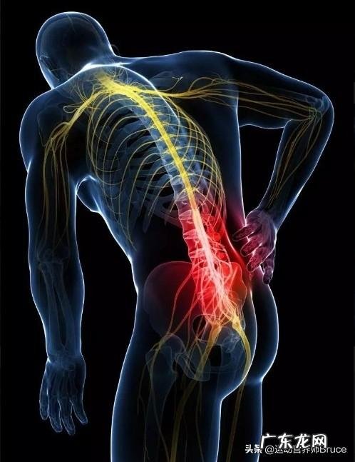 拉伸如何不伤腰椎 站立式的拉伸会损伤腰椎吗?