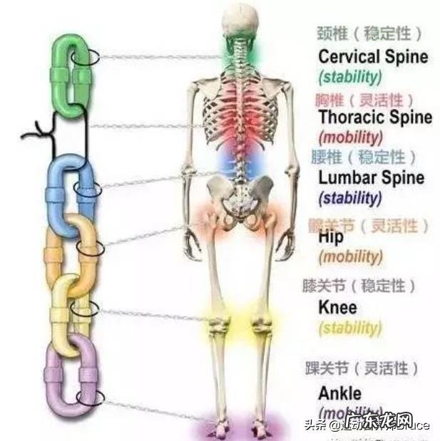 拉伸如何不伤腰椎 站立式的拉伸会损伤腰椎吗?