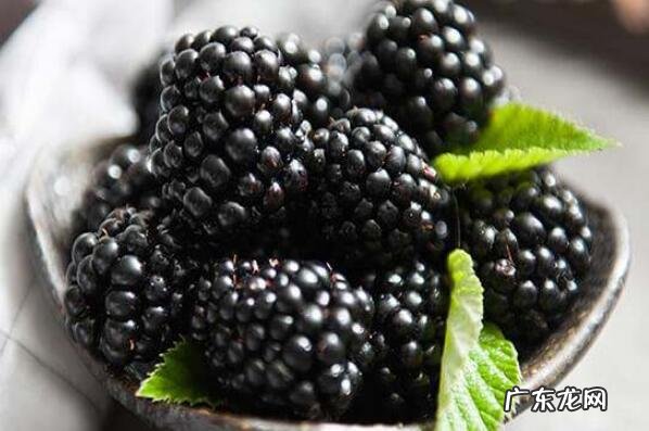 对身体最好的水果 十大对身体有益的水果