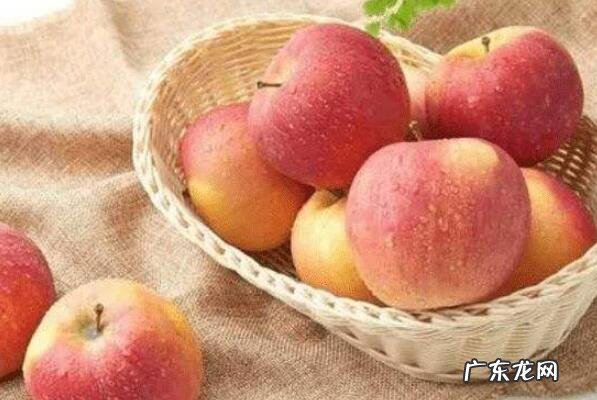 对身体最好的水果 十大对身体有益的水果