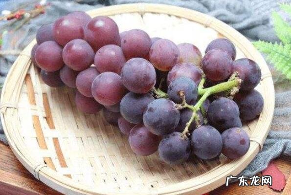 对身体最好的水果 十大对身体有益的水果