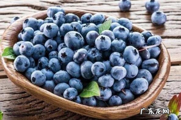 世界上最健康的水果 世界公认十大健康水果