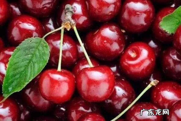 世界上最健康的水果 世界公认十大健康水果