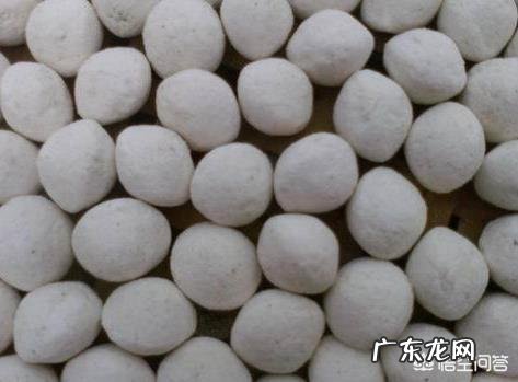 自制酵素菌群超标 怎样避免自制酵素霉菌超标?