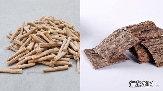 杜仲、牛夕、羊肉可不可以一起炖呢?杜仲有哪些功效呢?