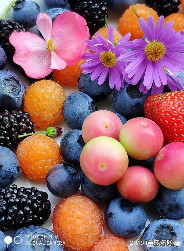 莓生源树莓饮品是不是甜的,减肥也能喝这个嘛?