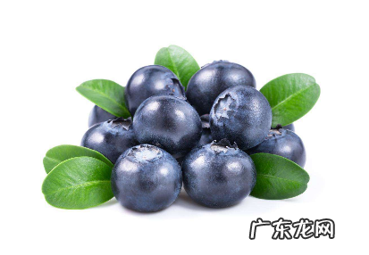 花青素是什么颜色?花青素颜色是什么样的?