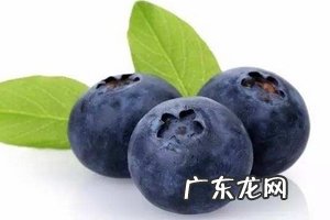花青素能美白吗?花青素美白效果好吗?