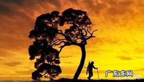 男人过了多少岁,就开始贬值了