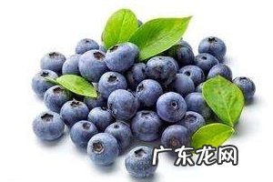 花青素能减肥吗?减肥吃花青素好吗?