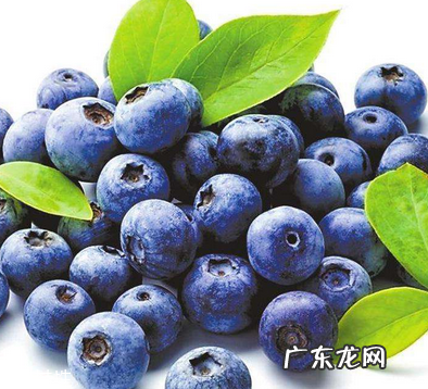 花青素能减肥吗?减肥吃花青素好吗?