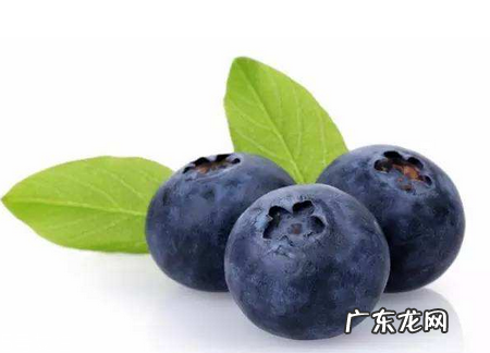 花青素能减肥吗?减肥吃花青素好吗?