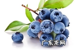 花青素能被皮肤吸收吗？