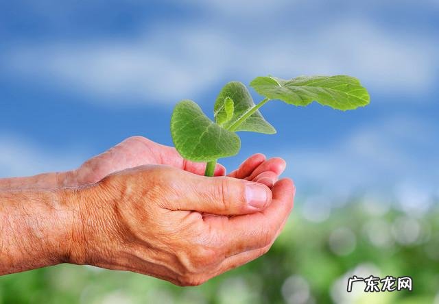 世人口中的三长两短是哪三长哪两短？ 三长两短是哪三个长短