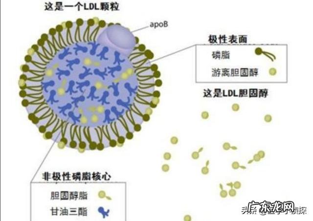 高血压能喝酒吗？少量喝对身体有什么影响？