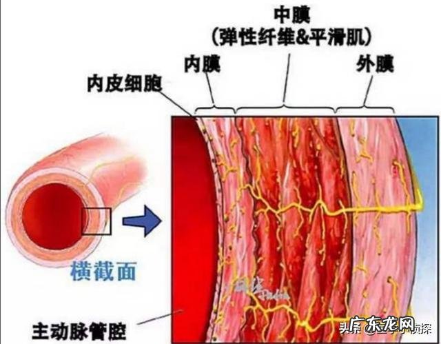 高血压能喝酒吗？少量喝对身体有什么影响？