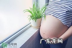 孕晚期宫缩是什么感觉 孕晚期宫缩怎么办