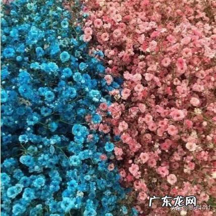 减肥过程中情绪失控坚持不下去了怎么办?