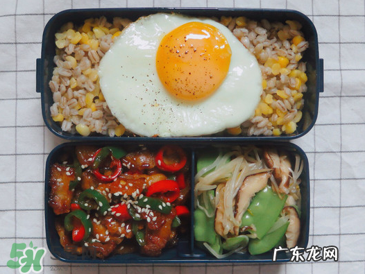 夏天用保温盒带饭会坏吗?夏天能用保温盒带饭吗?