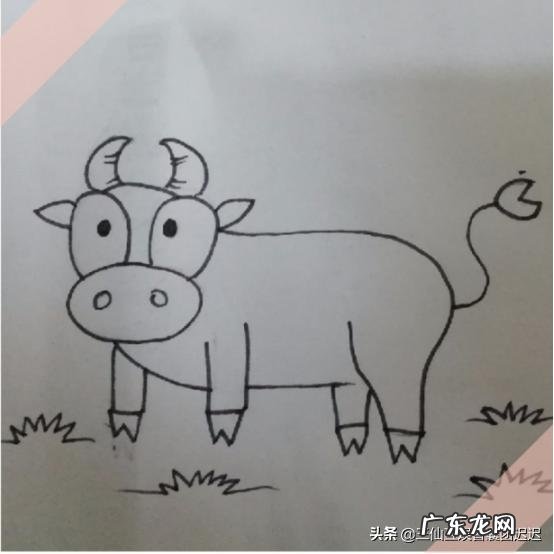 简笔画吃草的小牛的画法？