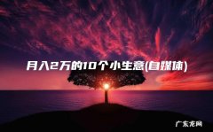 自媒体 月入2万的10个小生意