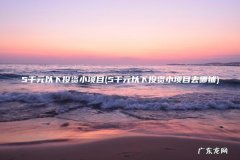 5千元以下投资小项目去哪铺 5千元以下投资小项目