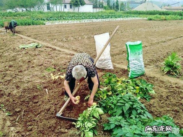 湘西苗族老人家为什么一天只吃两餐