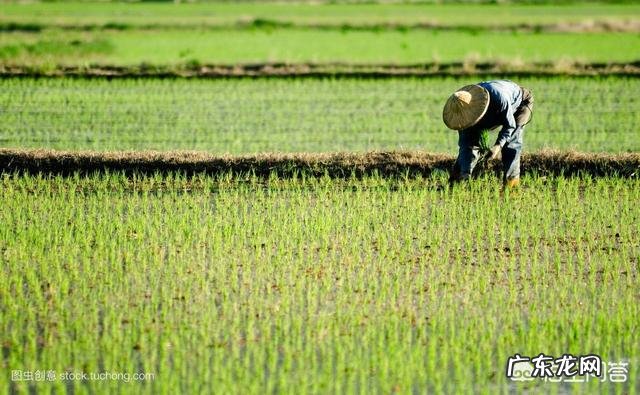 湘西苗族老人家为什么一天只吃两餐