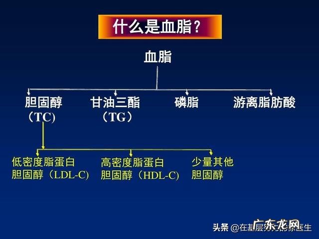 甘油血脂的正常参数是多少