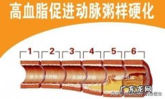 甘油血脂的正常参数是多少