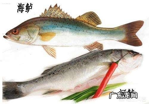 孕妇吃鱼补什么?吃什么鱼好? 孕妇初期吃什么鱼好