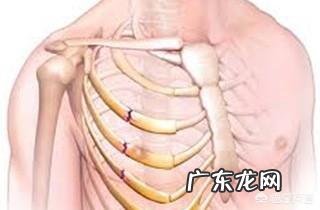 第五、六根肋骨骨折了,需要如何休养才能好的比较快?